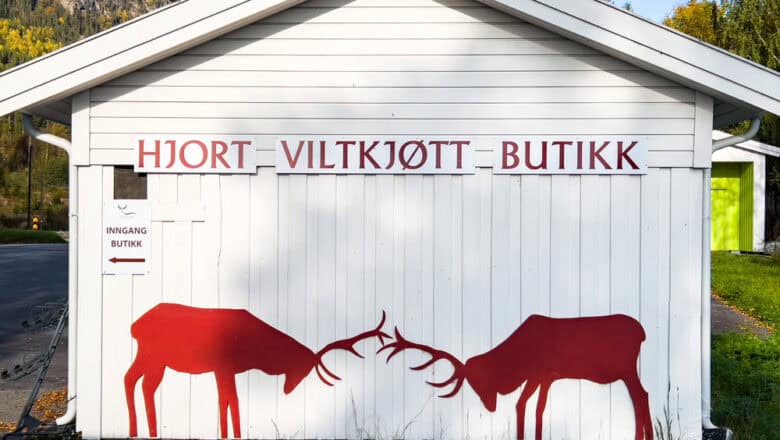 Slik støtter du lokal kunst – en guide for bevisste forbrukere